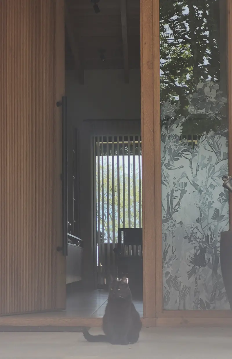 Trabajos sobre papel contac: diseño botánico en una puerta de vidrio, obra de Estela Pacheco